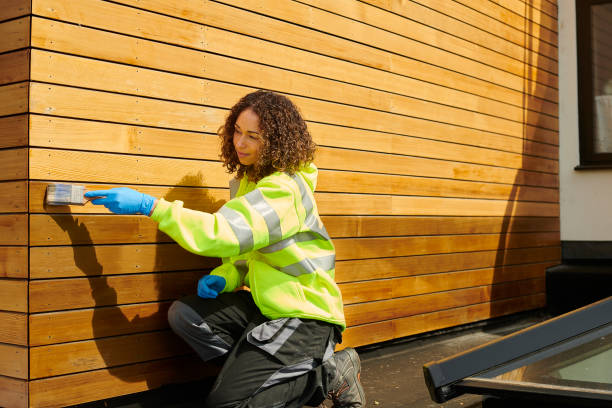 Best Custom Siding Design  in Manly, IA